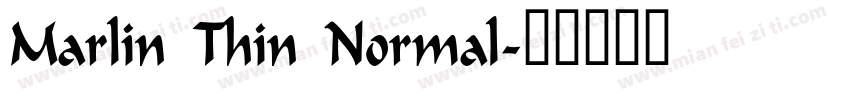Marlin Thin Normal字体转换